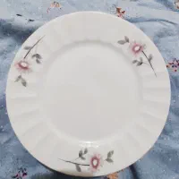 ظرف بشقاب
