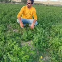 راننده کمکی ترانزیت کار کردم