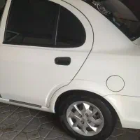 ساینا در حد