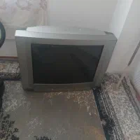 تلوزیون