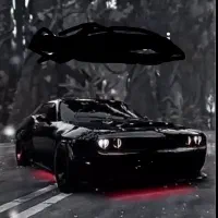 جذب راننده با خودرو بین شهری