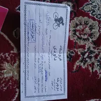 حمیدیه جاده ی پادگان کوی انقلاب خیابان اصلی|دوچرخه، اسکیت، اسکوتر|حمیدیه, |دیوار