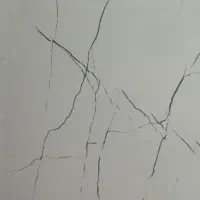 بجای دیوار پوش سرامیک ببر به قیمت خرید
