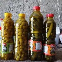 پخش خیارشور و زیتون