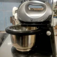 هم زن برقی