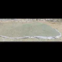 کاه علف باغی