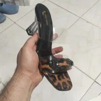 کفش درسین