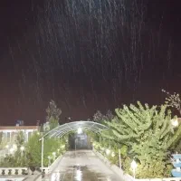 فروش-باغچه