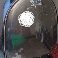 کیف حمل پرنده درحدنو