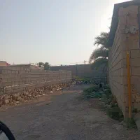 یک زمین کوی جهان آرا خیابان اسب جهان آرا 5