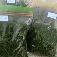 سبزیجات|خوردنی و آشامیدنی|مشهد, همت آباد|دیوار