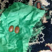 سلام دوستان اصل اصل هستن مهره شانس