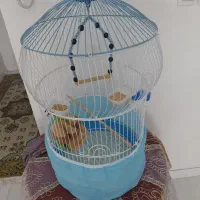قفس پرنده