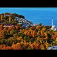 تور وان‌ویژه کنسرت