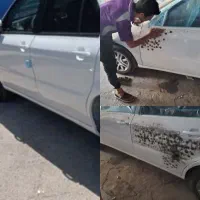 صافکار ماهر