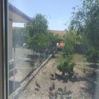 کارگر گلخانه