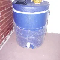 کل بن