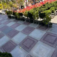 فروشنده گل و گیاه