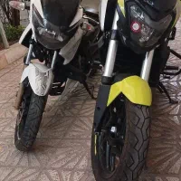 دومینار 250 مدل 1405 سبز