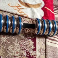 دمبل