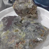 دو تکه شجر  هفترنگ بزرگ کلکسیونی سقلعه