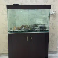 اکواریوم شیشه خم شرکتی
