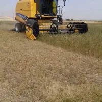 برداشت یونجه بذری با کمباین نیوهلند