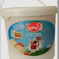 اعطای نمایندگی پنیر سطلی