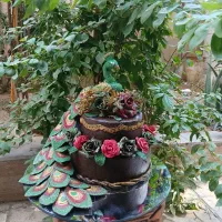 ظرف حنا طاوس