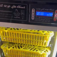 دستگاه جوجه کشی هدایت