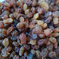 کشمش آفتابی ارگانیک.امسال