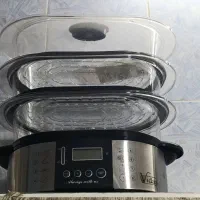 سرخ کن و بخار پز