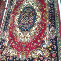 فرش دستبافت ۶متری سالاری نو با فاب عالی