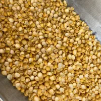حبوبات درجه ۱ قیمت رقابتی