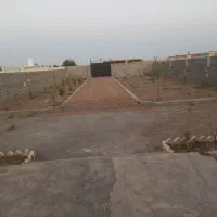 باغ و باغچه