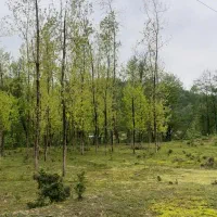 تهاتر-زمین-شمال-رشت-کوچصفهان-با-کرج-مغازه-ویلا