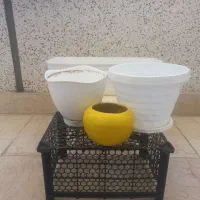 ۴عدد گلدان پلاستیکی