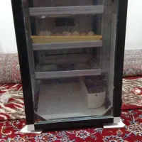دستگاه جوجه کشی اسکندری