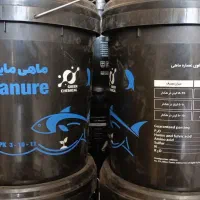 کود مایع مرغی و مایع ماهی