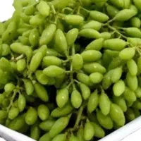 غوره عسگری 80 لیمو ۱۶۰ ، آبگیری گوجه