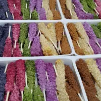 نبات های چوبی گیاهی و نبات خرده نگینی گیاهی