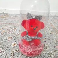 باکس شیشه ایی با عروسک ۱ تومن