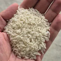 برنج، نیم دانه، لاشه طارم