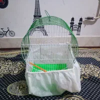 قفس