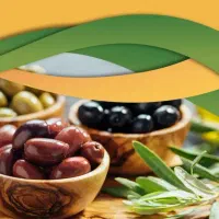 عاملیت فروش و نمایندگی انحصاری