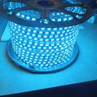 ریسه شلنگی LED بنفش آبی