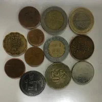 تعدادی سکع