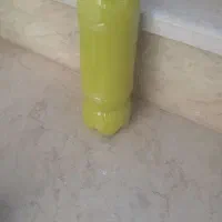 ابلیمو طبیعی تست کن بعد ببر