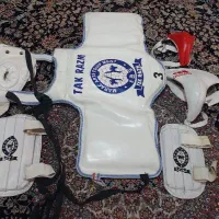 هوگو تکواندو