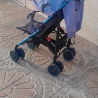 کالسکه عصایی